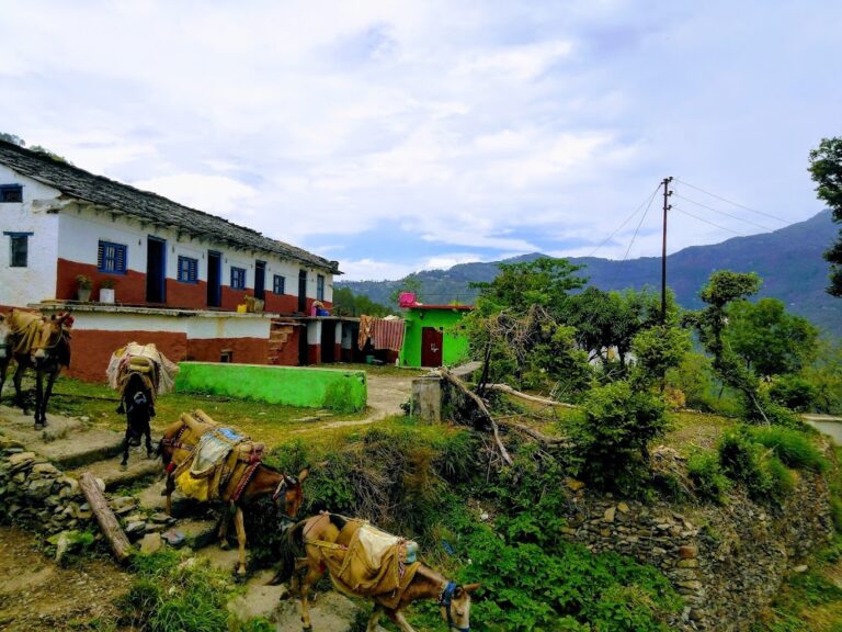 Kirshna Vatika Homestay