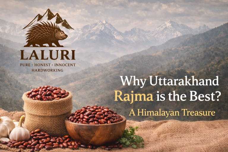 Why Uttarakhand Rajma is the Best A Himalayan Treasure
